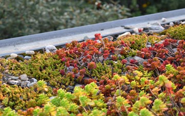 the cost of Rossmore green roof installation