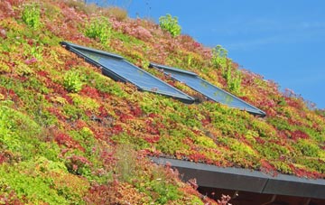 Rossmore living roof systems