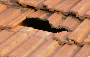 roof repair Rossmore, Dorset