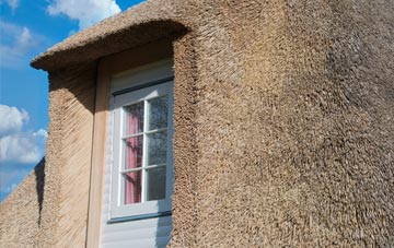 Rossmore thatch roof disadvantages